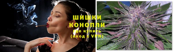 сатива Балабаново