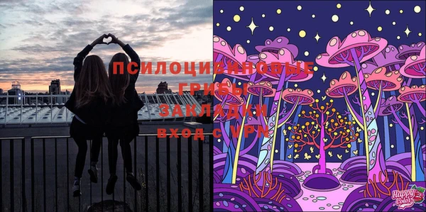 прущие крисы Богданович